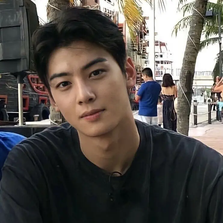 MereSitar7735의 Cha Eunwoo
