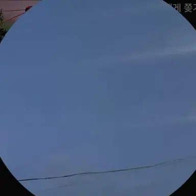 Profile image of 쇼이병