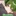すち
