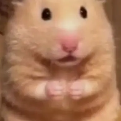 Nskwkkw의 고프랑꽥꽥탐험이랑 술먹기!