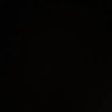 Profile image of 레온