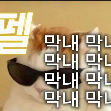 Profile image of 울프팩막내