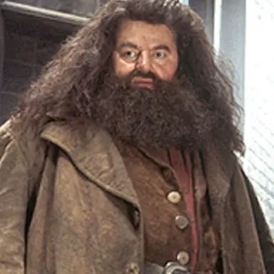 Profile image of Hagrid