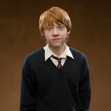 Profile image of Ron