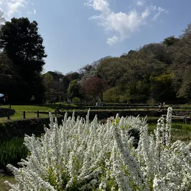 Profile image of 昼ネコ