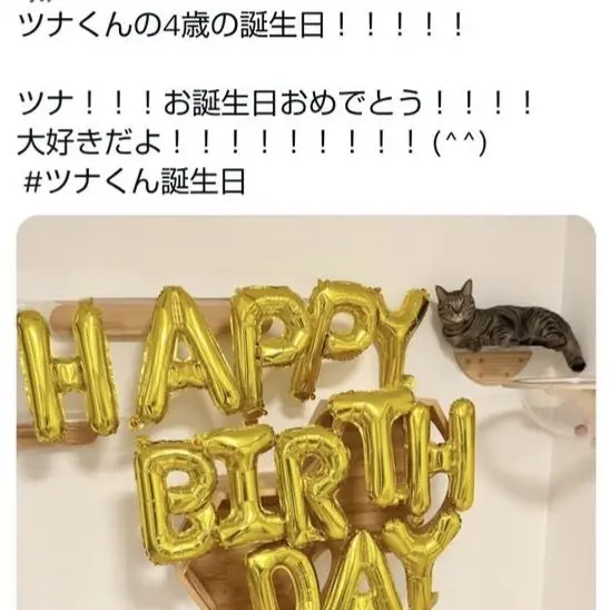 abesaku의 大人の王様げーむ！！