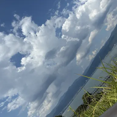 Profile image of 夏コラボメンバー