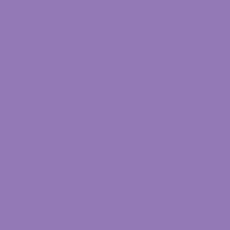 PettyPaint9576의 猫