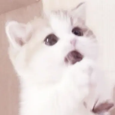 Profile image of えり