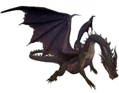 Profile image of 黒龍