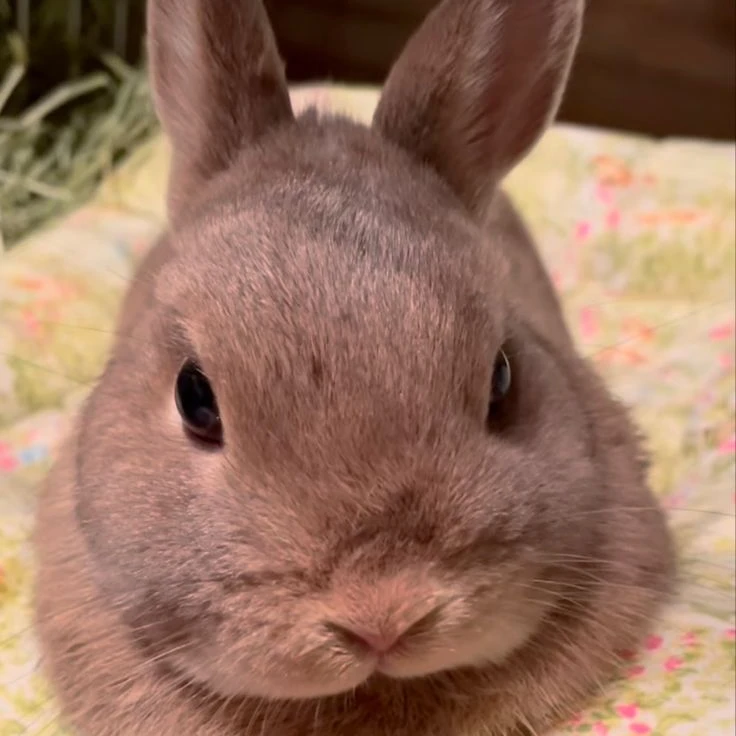 이민호