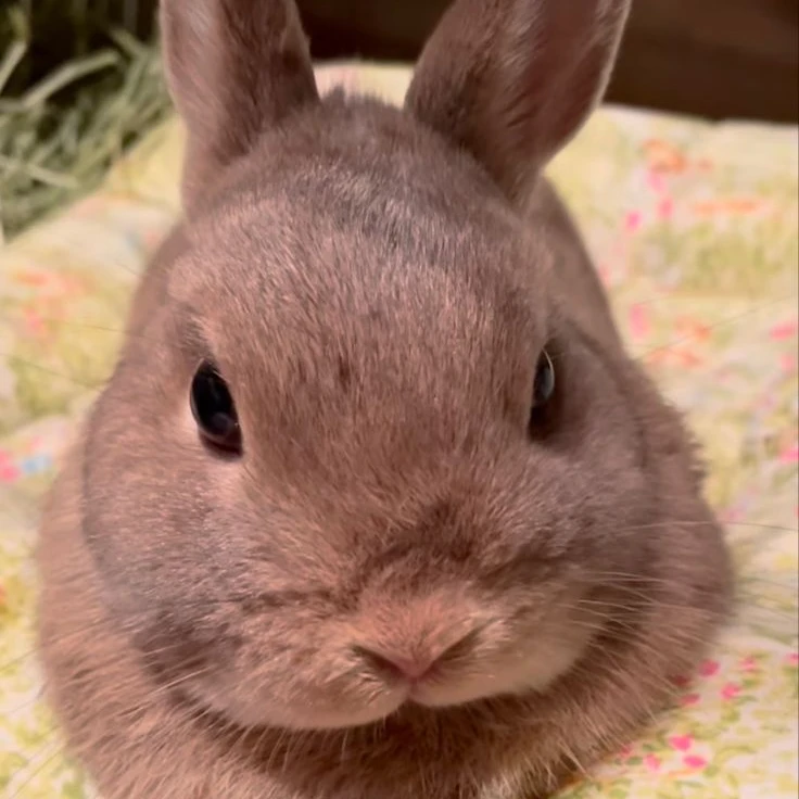 이민호