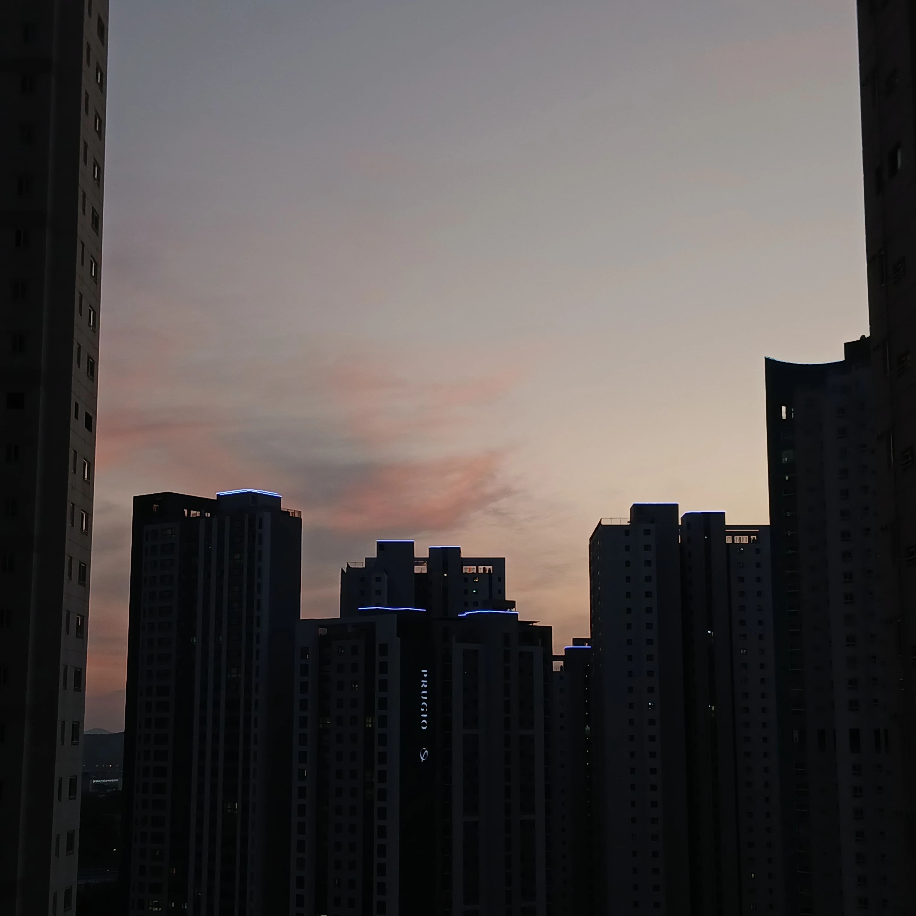 유다