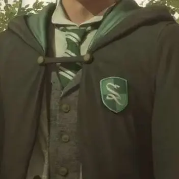 Profile image of セバスチャン・サロウ