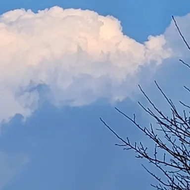 Profile image of 지현