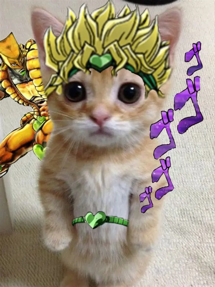 hshshshshshshshs의 猫カフェ DIO's❕️