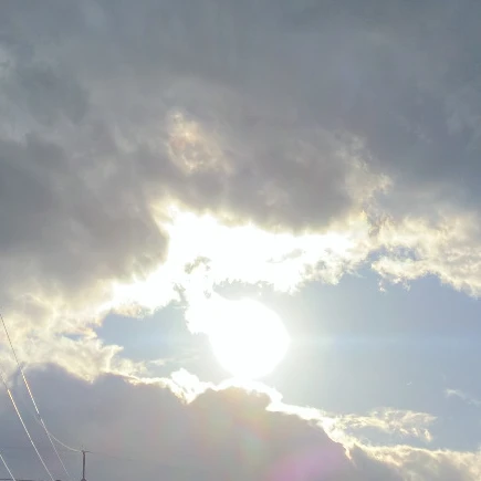 김준구