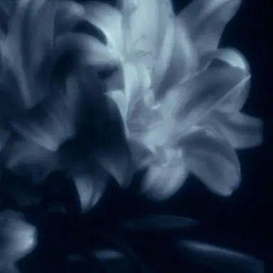 Profile image of 綾部 喜八郎