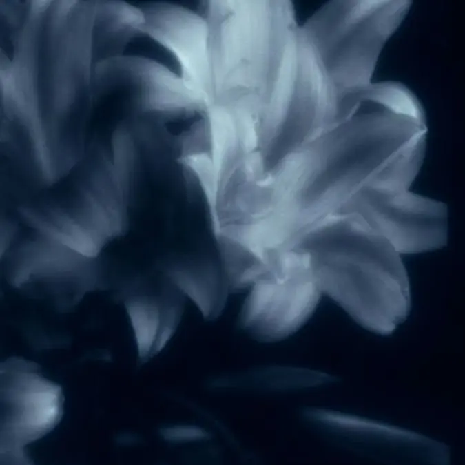 SuperbBack3921의 余白に棲む