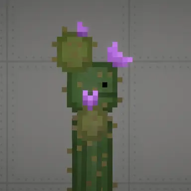 Profile image of Cactus