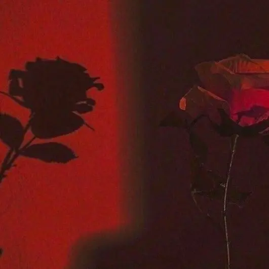 Konti_ya_fioti_ya_Stella의 서라더