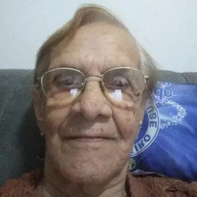 Profile image of Vov Ins