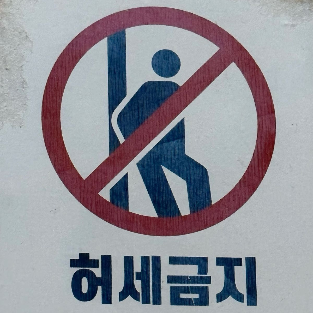 🏢➡️🌳 대표 이미지
