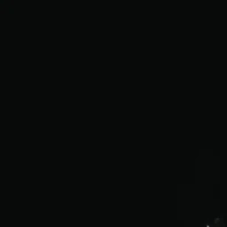 롤로노아 조로