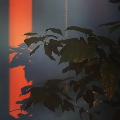 Profile image of 준브레드
