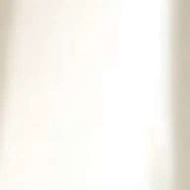 Profile image of 미스틱플라워