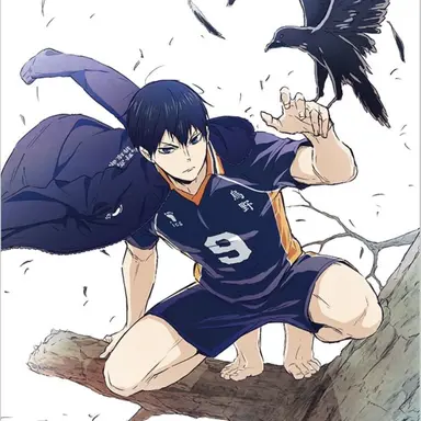Profile image of 影山　飛雄