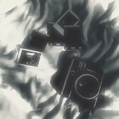 Profile image of 채스터