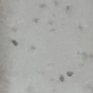 Profile image of 이-여-우