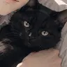 Profile image of Myako