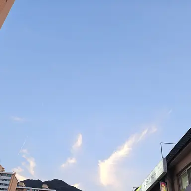 Profile image of 잠경위-잠뜰