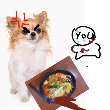 Profile image of 몰리