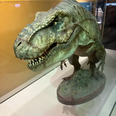 Profile image of Niffty