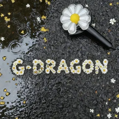 Profile image of 권지용