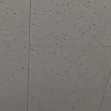 Profile image of ㅂㄱ