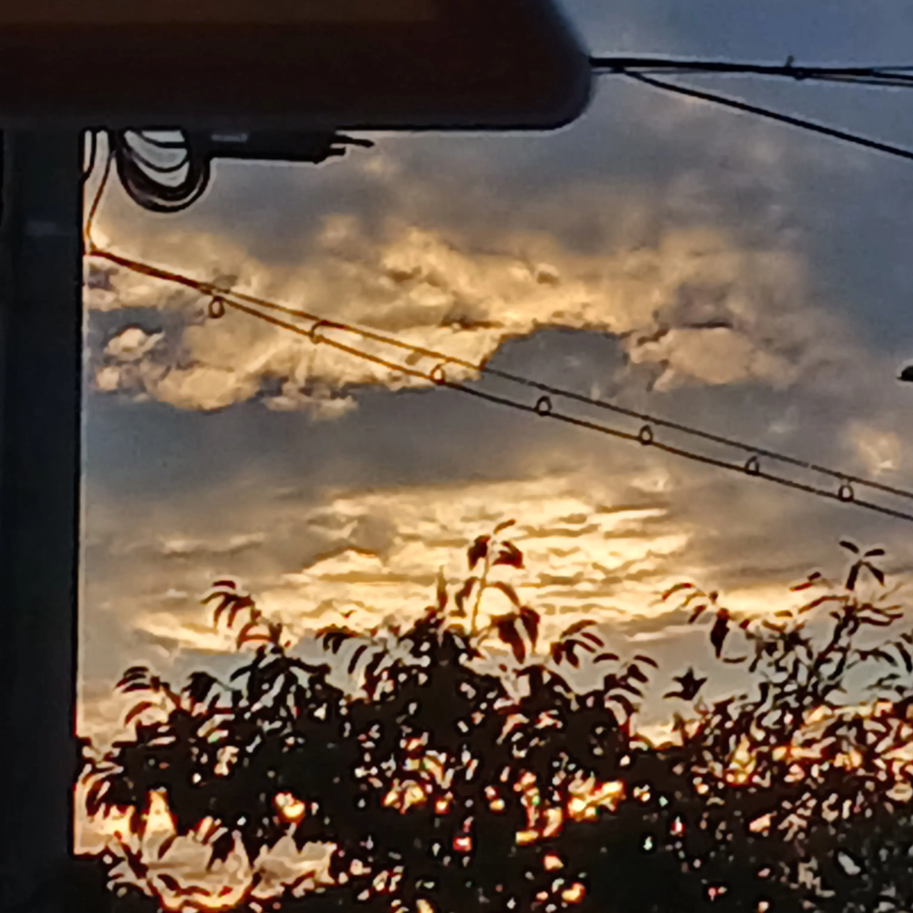 BL._.의 작전명순정💘🥵