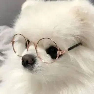 Profile image of 남자애들