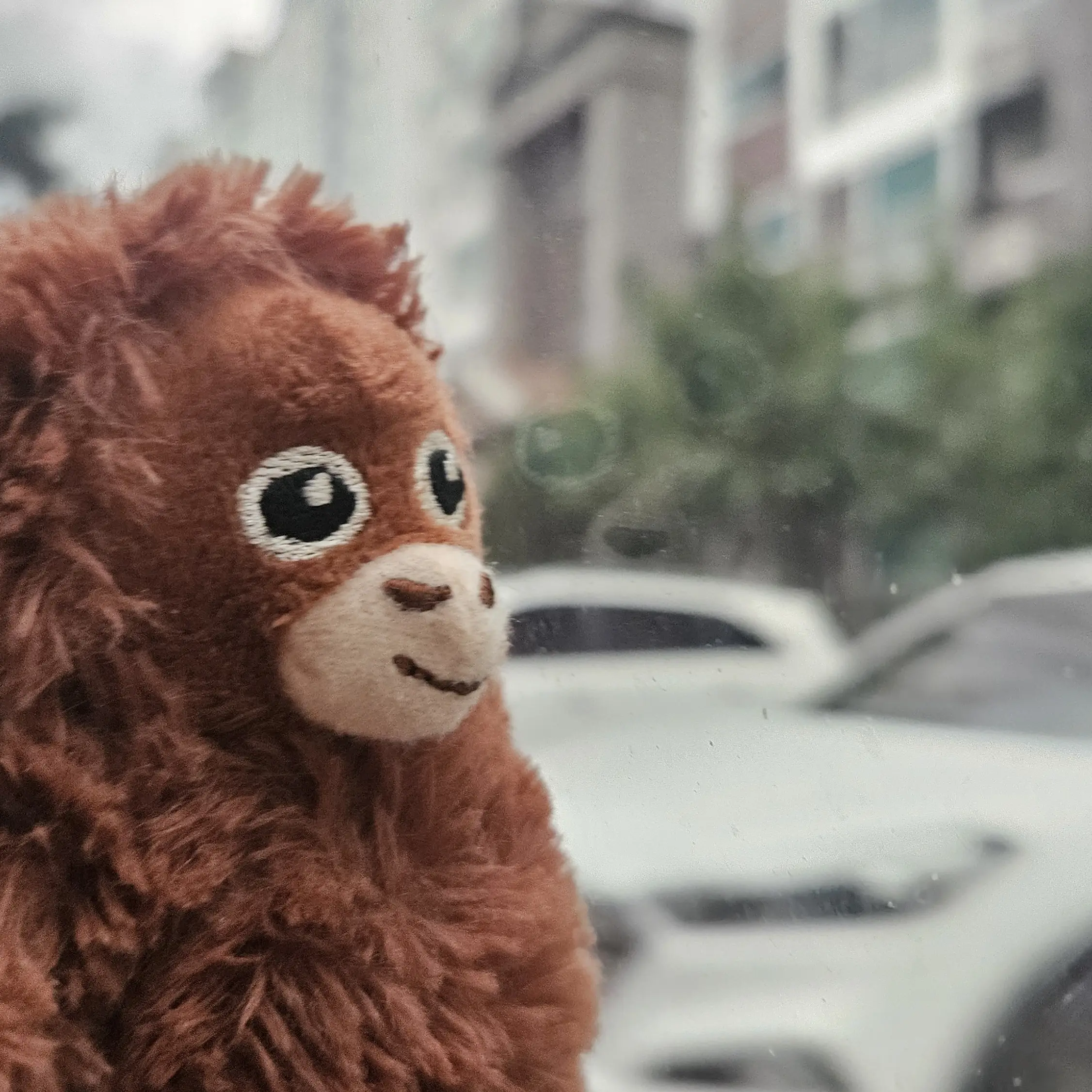 Daeun3120의 오랑 학교