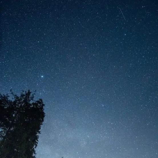 HardCurry1813의 (๑´• ₃ •̀๑) 갠용..ㅜ