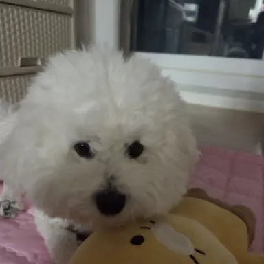 Profile image of 추호빈