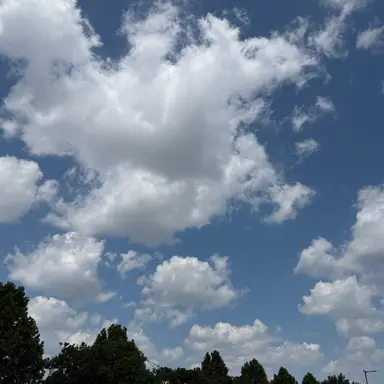 Profile image of 지웅