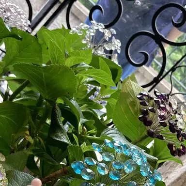 Profile image of 太智