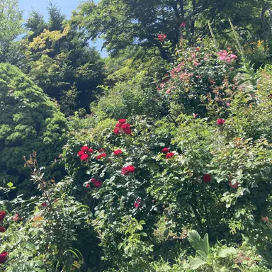 Profile image of 勇斗