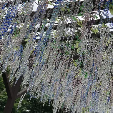 Profile image of 仁人