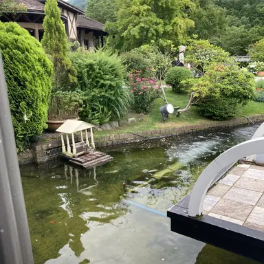 Profile image of 舜太