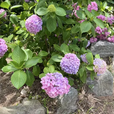 Profile image of 2026년